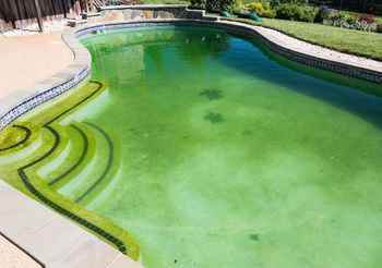 дезальгин против водорослей в бассейне